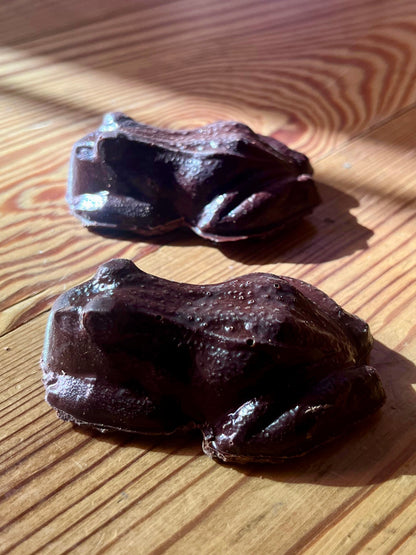 Chocolate Frogs!